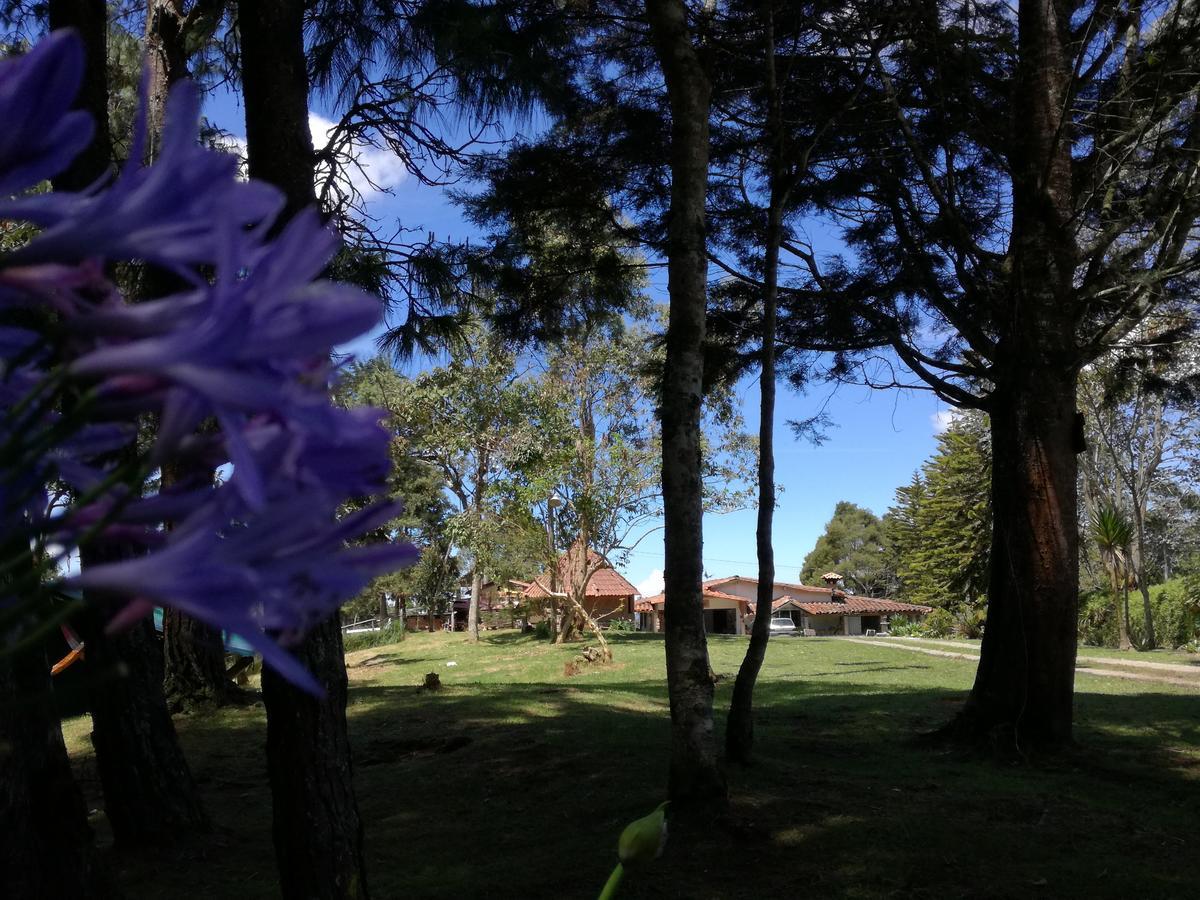 Al Bosque Hostel & Glamping Santa Elena  Exterior photo