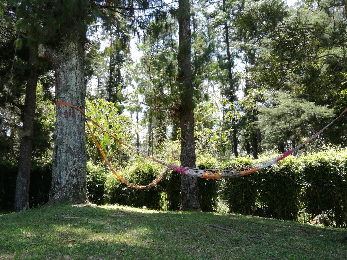 Al Bosque Hostel & Glamping Santa Elena  Exterior photo