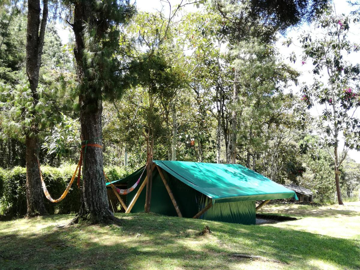 Al Bosque Hostel & Glamping Santa Elena  Exterior photo